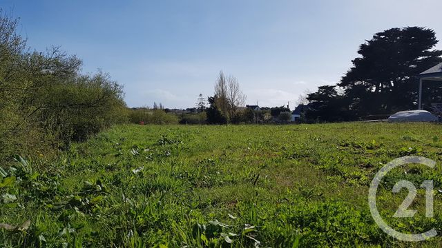 terrain - CARNAC - 56